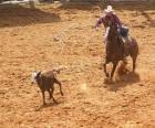 Κάουμποϋ ιππασίας ένα άλογο και η επιβίβαση σε ένα επικεφαλής των βοοειδών με το λάσο